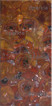 Petrified Wood Red Slab