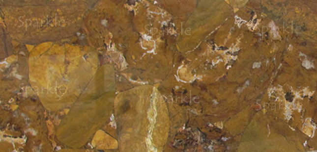 Yellow Petrified Wood Slab